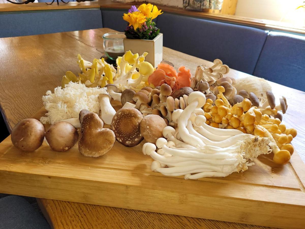 Hotel Wittekindsquelle 巴特恩豪森 外观 照片